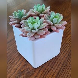 Mainstays Pink and Green Faux Succulent Cube Planter